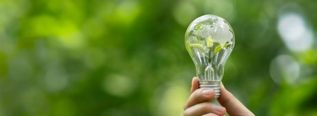 Преземете го Net Zero водичот и дознајте ги можностите